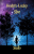 Hoshi\'s Lucky Star By Sudo (Instant Download)